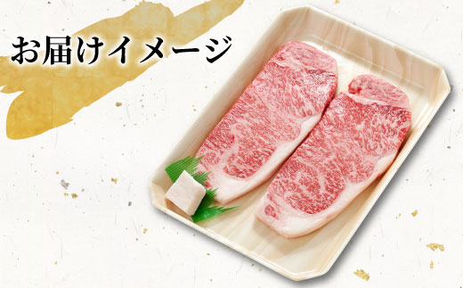 【12月受付限定・特別規格！】飛騨牛 ロースステーキ 400g 200g×2枚 牛肉 和牛 肉 ロース ステーキ ステーキ用 2枚 東白川村 岐阜 贅沢 霜降り 期間限定 特別 ギフト
