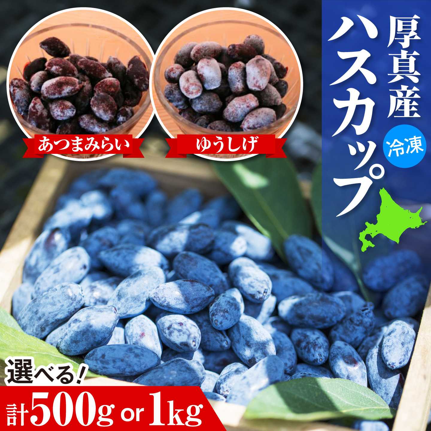 【ふるさと納税】北海道厚真町産 冷凍ハスカップ 2種食べ比べセット【選べる内容量】 計500g 計1kg《厚真町》　【とまこまい広域農業協同組合】　ハスカップ ゆうしげ あつまみらい R8年産 フルーツ 果物 冷凍 北海道 [AXAB085]