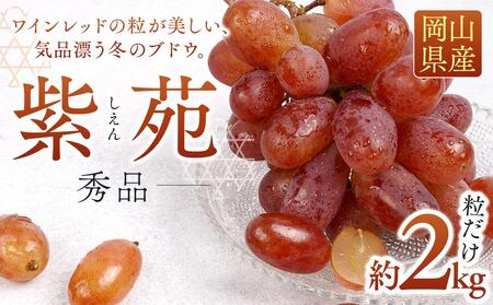 紫苑 秀品 粒だけ 約2kg  2025年10月上旬から発送｜ ぶどう ぶどう