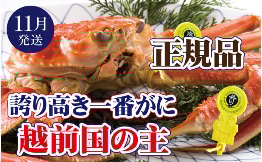 越前がに × 1杯（一番蟹）越前国の主！越前がにの象徴【雄 ズワイガニ ずわいがに 姿 生 ボイル 冷蔵 福井県】【11月発送分】【浜茹でお届け】希望日指定可 備考欄に希望日をご記入ください [e37-x006_11b]