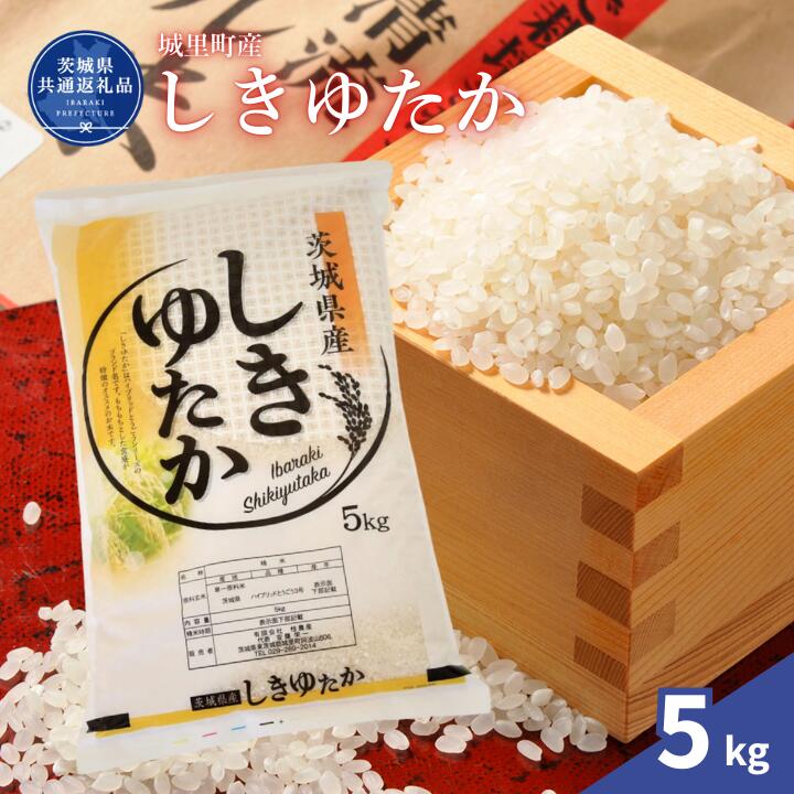【ふるさと納税】しきゆたか 5kg（茨城県共通返礼品・城里町産） / 米 こめ コメ お米 おこめ しきゆたか 白米 精米 ごはん ご飯 令和7年産 5kg 茨城県 城里町 利根町