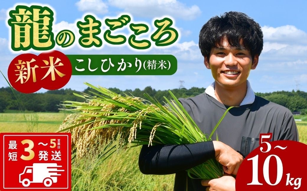 
            龍ケ崎のコシヒカリ 選べる種類 5～10kg【令和7年度新米】 ❙ こしひかり お米 米 こめ コシヒカリ 白米 精米 新米 冷めてもおいしい 美味しい こだわり いばらきみどり認定 おにぎり 茨城県 龍ケ崎市産
          