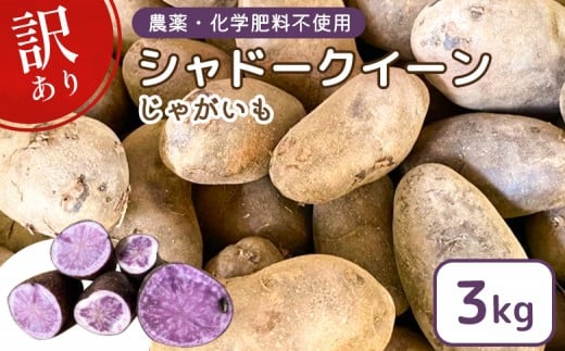【訳あり】【農薬・化学肥料不使用】じゃがいも 計3kg（シャドークイーンのみ） | 農薬不使用 化学肥料不使用 訳あり じゃがいも ジャガイモ シャドークイーン 芋 料理 国産 お取り寄せ 宮城県 白石市 白石【55002】