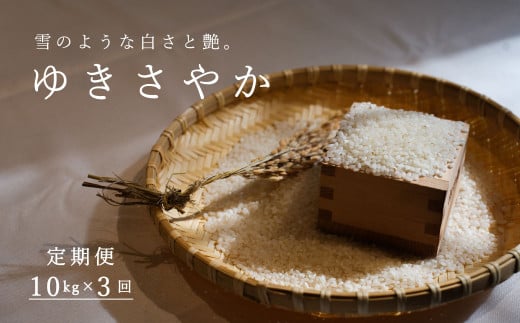 【北海道　農家直送　定期便】長谷川農園　ゆきさやか　令和7年産　10kg×3回コース