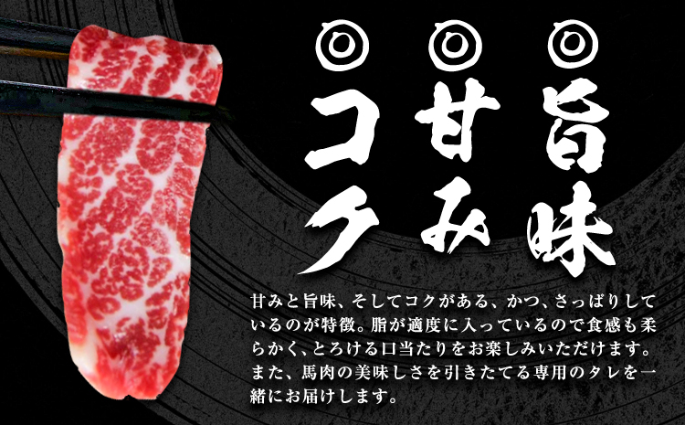 馬刺し 霜降り馬刺し スライス 200g 長洲501《30日以内に出荷予定(土日祝除く)》 馬刺し 馬肉 熊本県 長洲町