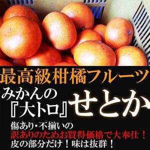 みかん の大トロ せとか 約9kg S～LLサイズ混合 訳あり ブランド 和歌山 有田 みかん 農家直送 オレンジ フルーツ 果物