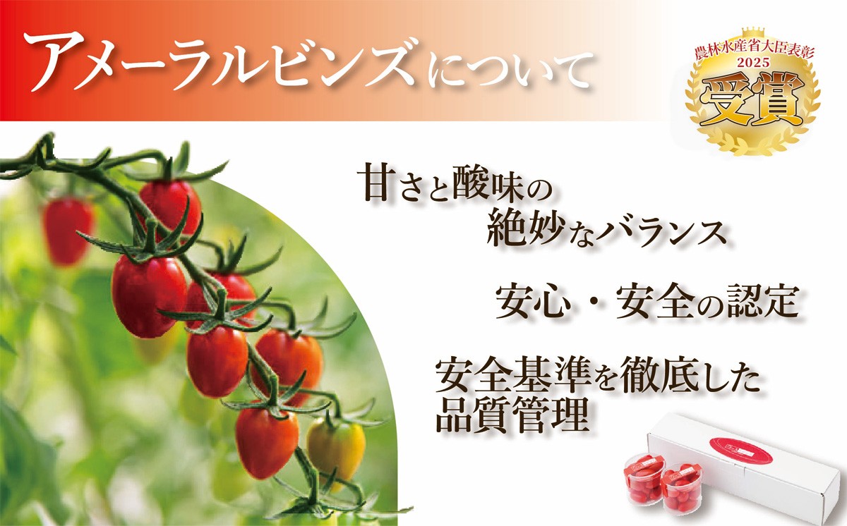 アメーラルビンズ 約60g × 10P 入り │ トマト とまと 野菜 アメーラ アメーラトマト ミニトマト プチトマト フルーツトマト 高糖度 静岡県 小山町