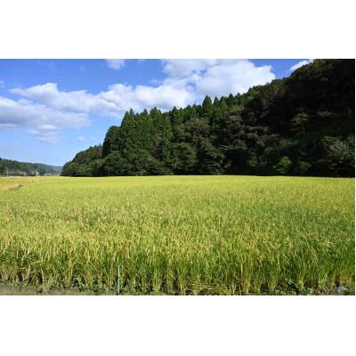 ふるさと納税 茨城県 令和7年産　特別栽培米「ゆうだい21」精米5kg |  | 03
