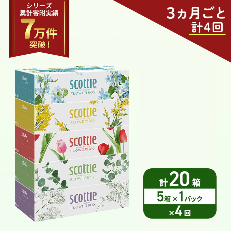 【ふるさと納税】 定期便 ティッシュ 5箱 (3ヶ月ごと計4回) スコッティ フラワーボックス 日本製 長持ち 日用品 生活用品 必需品 消耗品 便利 楽 コンパクト 防災 備蓄 備え 安心 送料無料 累計寄附実績7万9千件超 宮城県 岩沼市