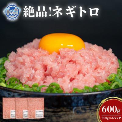 ふるさと納税 糸満市 那覇魚類のネギトロ　合計600g(200g×3パック)　おためし　小分けパック