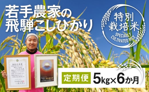 《先行予約》令和8年産 米 定期便 こしひかり 特別栽培米 5kg×6か月 合計30kg 若手受賞農家 池本農園 こだわりのお米