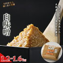 【ふるさと納税】 白味噌 1.2 ~ 1.6kg (400g×3袋 / 800g×2袋) 味噌 みそ 白みそ 白和え 味噌汁 塩分約8％ 甘口味噌 国産 和食 発酵食品 冷蔵 京都府 大阪屋こうじ店