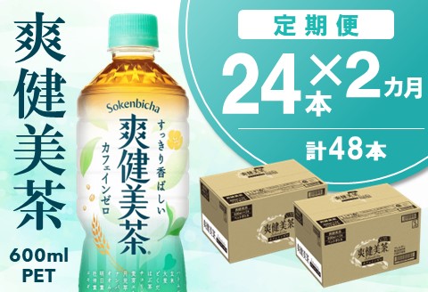 【2カ月定期便】爽健美茶 600mlPET×24本(合計2ケース)【コカコーラ カフェインゼロ 定期便 香ばしい おいしい 国産 お茶 ハトムギ 玄米 ドクダミ ペットボトル】 A5-A047314