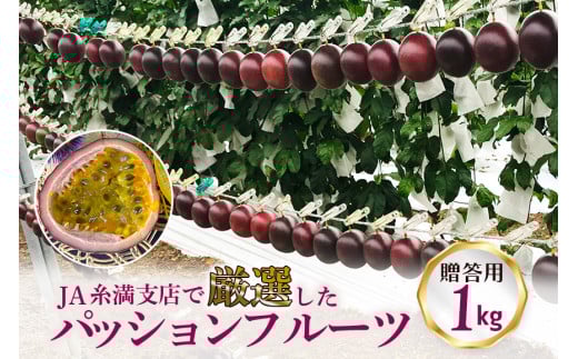 【 先行予約 2026年 発送 】 JA糸満支店で厳選した「 パッションフルーツ 」贈答用 約 1kg 果物 フルーツ くだもの 1キロ 沖縄 果実 南国フルーツ 沖縄県産 美味しい 甘い あまい 酸味 産地直送 農家直送 産直 ギフト 贈答品 贈り物 沖縄県 糸満市