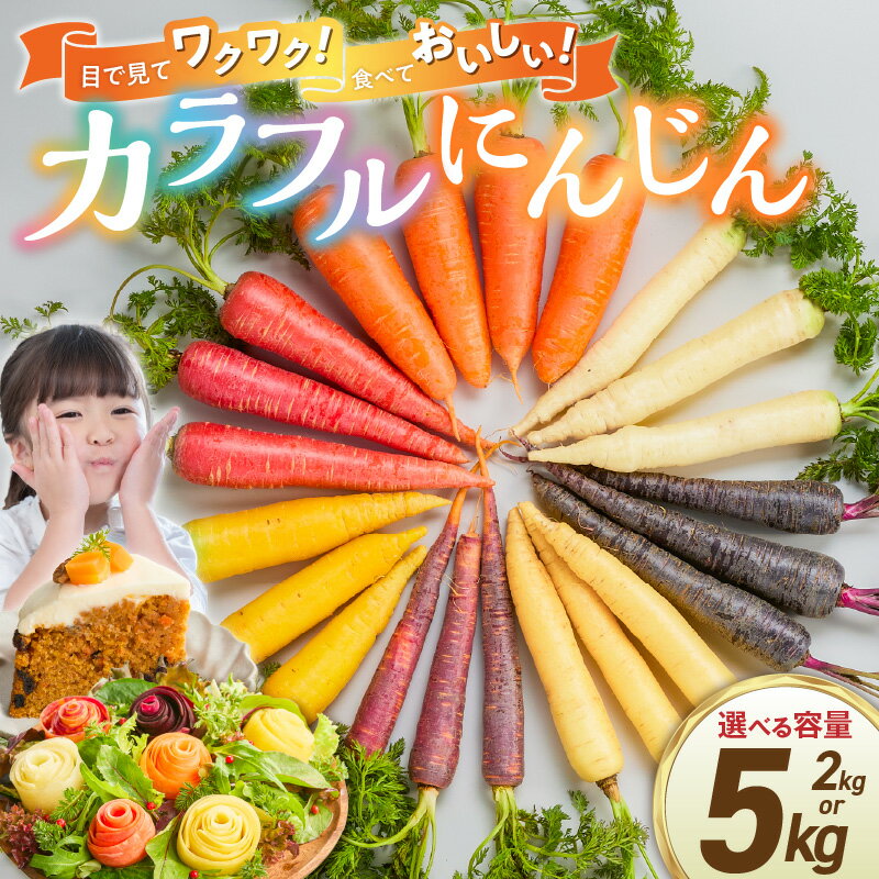 【ふるさと納税】メディア出演多数 期間限定 虹色 カラフルにんじん 選べる 容量 2kg 5kg 予約受付 人参 塩農法 野菜 農家直送 ジュース サラダスティック ギフト用 βカロテン ポリフェノール リコピン 農作物 鈴盛農園 お取り寄せ 愛知県 碧南市 送料無料