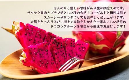 【先行予約】2024年発送　奄美大島産 食べごろ樹上完熟『赤蜜ドラゴンフルーツ』2kg×2箱セット＜北海道・沖縄県配送不可＞