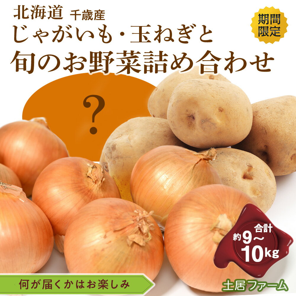 【ふるさと納税】旬のお野菜詰め合わせ 約9kg〜10kg《土居ファーム》野菜 やさい お楽しみ セット ランダム じゃがいも 玉ねぎ 北海道ふるさと納税 千歳市 ふるさと納税【北海道千歳市】 ギフト ふるさと納税