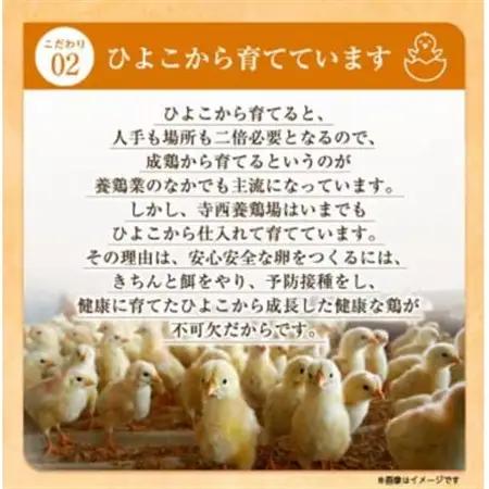 【2ヵ月毎定期便】大阪府富田林産　さしみ卵80個～90個(季節により個数・サイズが変動します)全6回【4071501】