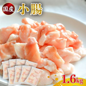 国産 小腸 ホルモン 1.6kg 牛肉 冷凍 真空 小分け 200g×8 パック牛 ホルモンホルモンホルモンホルモンホルモン