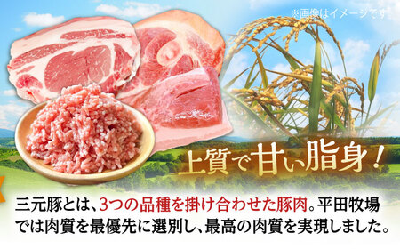 【全12回定期便】 三元豚 ロース・バラ・肩ロースブロック各600g・ひき肉計600g（300g×2パック） 《喜茂別町》【平田牧場】 肉 豚肉 ブロック ステーキ ステーキ用 ロース ロースステーキ