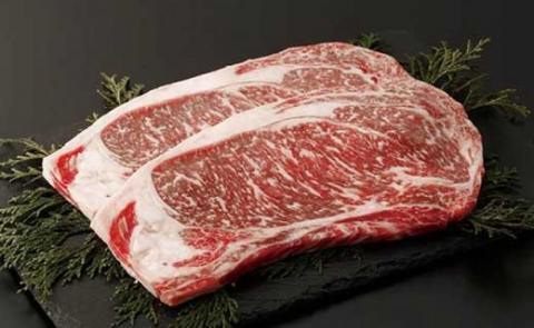 【矢野畜産】産地直送 くまもと 国産 熊本 阿蘇 和牛 あか牛 褐毛和種 あかげわしゅ ロースステーキ 400g 赤身 サシ プレミアムハンバーグ 150g 5個 750g 矢野畜産 にくやの 老舗 おうちごはん おうち時間 通販 贈答 ギフト 阿蘇の自然の宝物