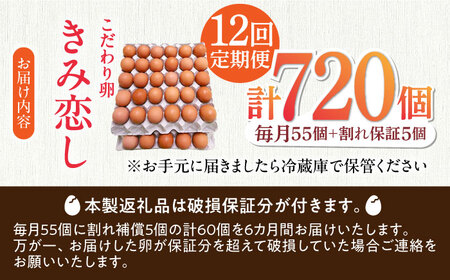 【12回定期便】きみ恋し 箱入り 60個（55個+割れ保証5個）×12ヶ月 総計720個 たまご 卵 玉子 タマゴ 鶏卵 濃厚 玉子焼き 卵焼き オムレツ たまごかけご飯 冷蔵 広川町/伊藤養鶏場[A