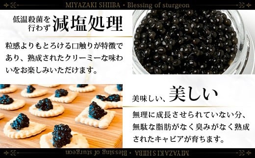 画像はイメージです