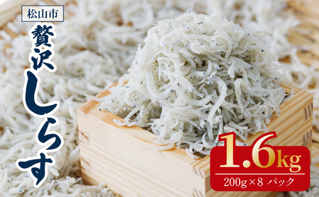 【しらす】釜揚げしらす 1.6kg ( 200g × 8パック ) 愛媛県松山市【IY0021】