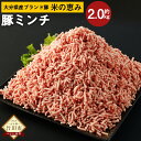 【ふるさと納税】大分県産ブランド豚「米の恵み」ミンチ 2kg 500g×4袋 豚肉 ポーク 豚ミンチ ひき肉 挽肉 挽き肉 そぼろ つくね ミートボール 国産 九州産 冷凍 大分県 竹田市 送料無料