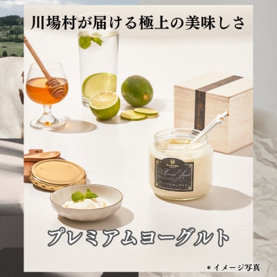 【毎月定期便】2種類のヨーグルトセット(16本)全3回【配送不可地域：離島】