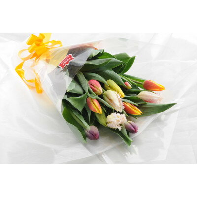 【ふるさと納税】チューリップ切花(50本)【1375910】