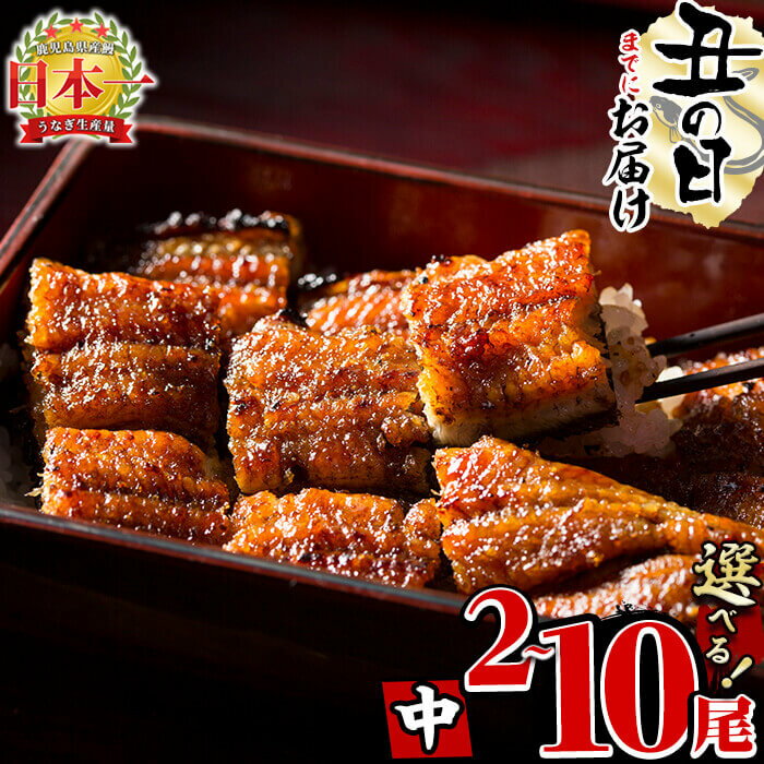 《丑の日までにお届け》鰻生産量日本一の鹿児島県産！うなぎの大楠＜中＞4尾セット計520g(130g×4)国産ウナギの蒲焼きを冷凍真空パック・たれ付きでお届け！【大楠鰻】b0-070