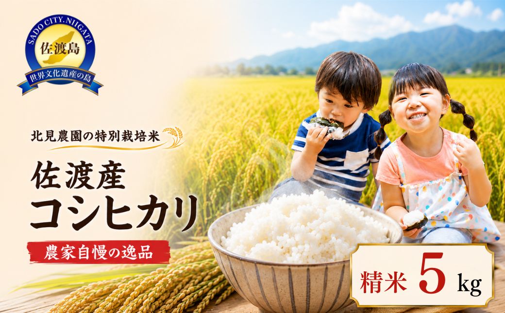 【先行予約・限定】令和8年産　特別栽培米　佐渡産コシヒカリ　農家直送　朱鷺も棲む　北見農園自慢の逸品　定期便（精米5kg)