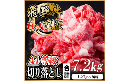 ＜毎月定期便＞飛騨牛 A4等級切り落とし 計7.2kg全6回【4055983】