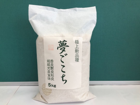 【6年産】近江米夢ごこち【5kg×1袋】【T034U1】