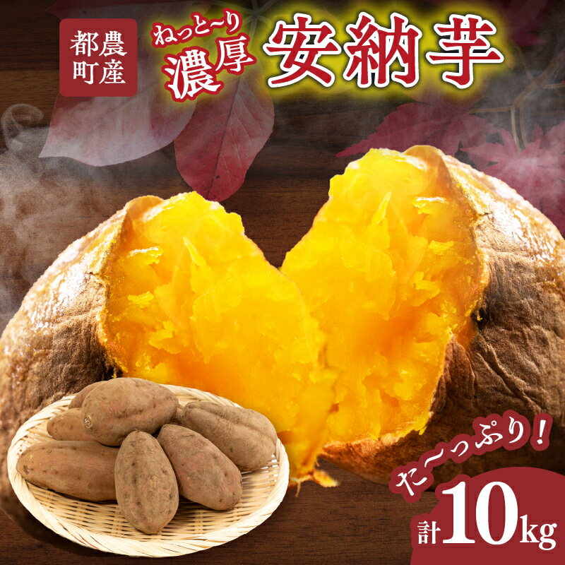 【ふるさと納税】先行予約 期間限定 都農町産 安納芋 計10kg 野菜 やさい 青果 芋 さつまいも 産地直送 焼き芋 蒸しいも 甘い 濃厚 とろける スイートポテト いも天 おやつ おすそ分け お取り寄せ グルメ 大満足 おうち時間 おすすめ 国産 宮崎県 送料無料