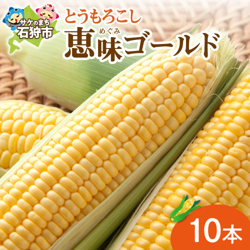 石狩産スイートコーン（色：イエロー） 10本【8月～9月発送】｜野菜 とうもろこし 北海道 石狩市