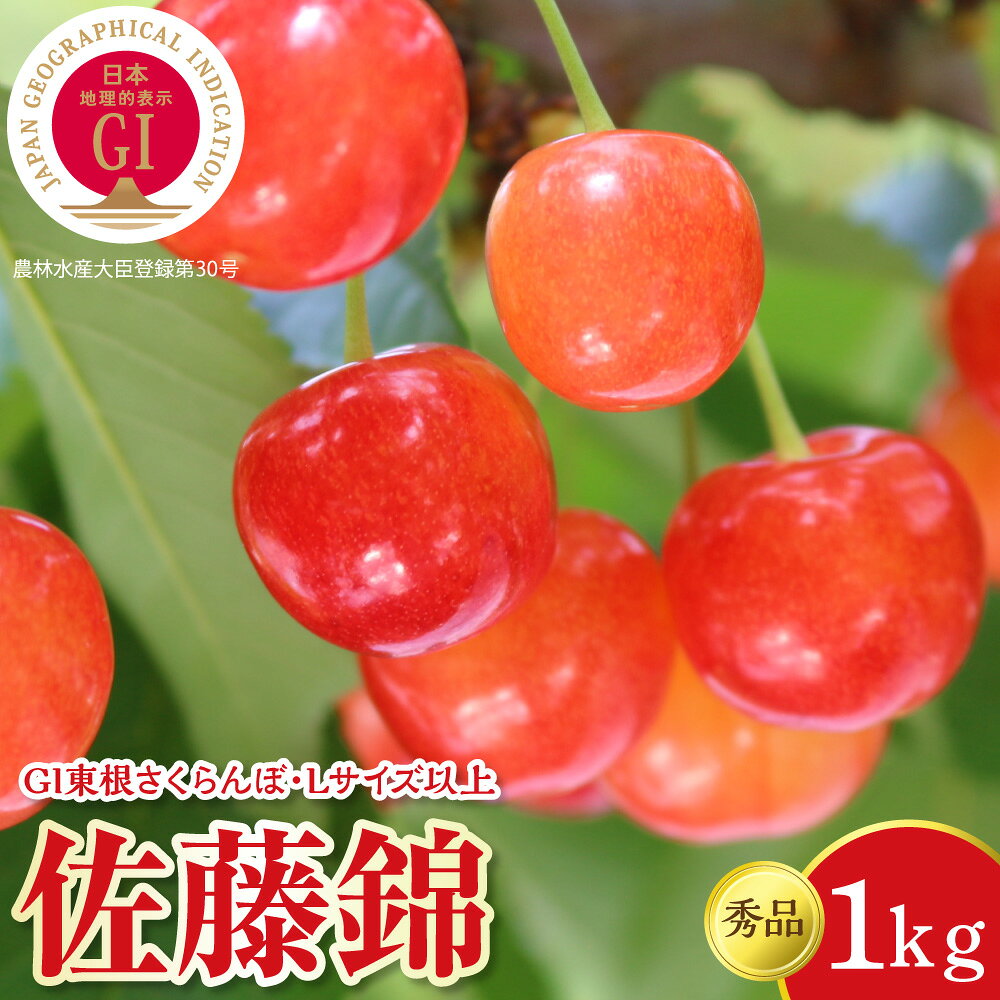 【ふるさと納税】 2027年産 GI東根 さくらんぼ 佐藤錦 秀品 Lサイズ以上 1kgバラ詰め ( 500g × 2パック )| サクランボ フルーツ 果物 くだもの 小分け 箱入り 化粧箱 特産 産地直送 送料無料 お取り寄せ 期間限定 大容量 冷蔵配送 人気 おすすめ 山形県 東根市