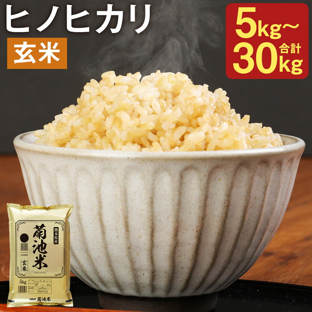 【ふるさと納税】熊本県菊池産 ヒノヒカリ 玄米 5kg/10kg/20kg/30kg 選べる内容量 1袋5kg 米 お米 令和6年産 九州産 熊本県産 送料無料【30日以内に出荷予定（土日祝除く）】