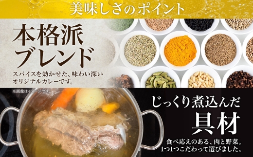 507.ビーフカレー 10個 セット 中辛 牛肉 業務用 レトルトカレー レトルト食品 野菜 備蓄 まとめ買い 20000円 北海道 弟子屈町