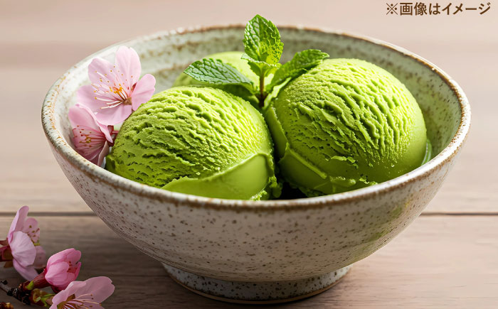 食べるお茶アイス9個セット  | お茶 アイス 食べる お菓子 スイーツ 島根県雲南市/株式会社藤原茶問屋 [AIAY004]