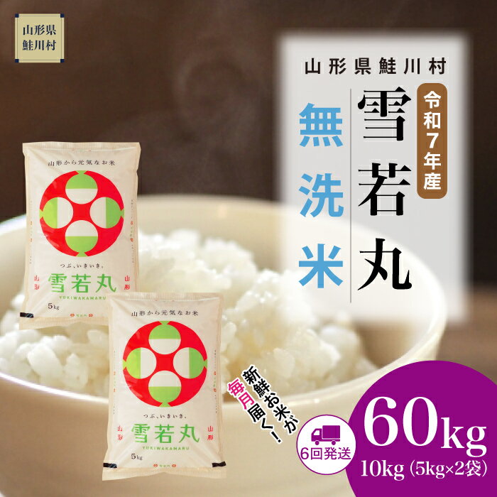 【ふるさと納税】＜令和7年産米＞ 鮭川村 雪若丸 【無洗米】 定期便 60kg （10kg×1ヶ月間隔で6回お届け）＜配送時期選べます＞