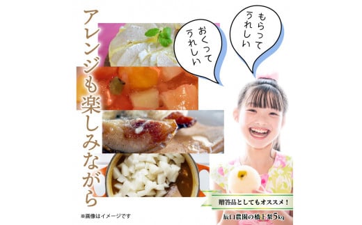 【先行予約】令和8年発送 /辰口農園の橋上梨約5kg(品種:愛宕)_1303R