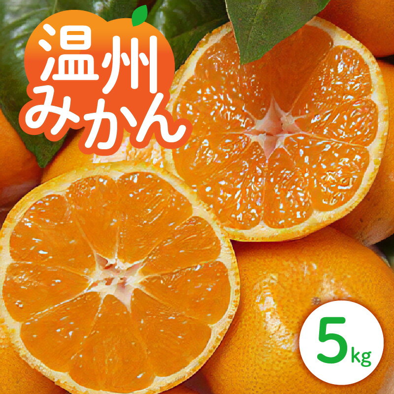 【ふるさと納税】【先行予約】丸安青果 訳あり 温州みかん 5kg (家庭用) 御浜町産 冬頃発送【皮がむきやすく、種なしで食べやすい！】