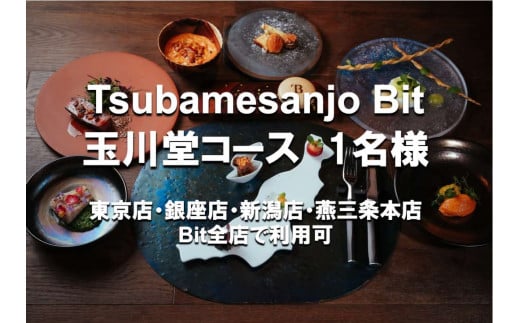 Tsubamesanjo Bit 玉川堂コース (1名様) FC034009