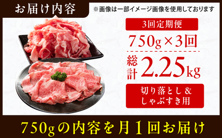 【全3回定期便】【訳あり】博多和牛 しゃぶしゃぶ すき焼き 750gセット 牛肉 博多和牛 しゃぶしゃぶ すき焼き 訳あり ロース バラ モモ 広川町/株式会社MEAT PLUS[AFBO031] 和