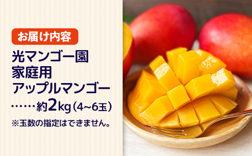 【先行受付】【2026年発送】光マンゴー園の家庭用アップルマンゴー約2kg（4～6玉）白箱 - ご自宅用 先行予約 沖縄県産 産地直送 南国フルーツ 旬の味覚 オススメ 沖縄県 八重瀬町