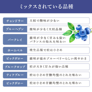ブルーベリー ミックス 500g 冷凍 果物 くだもの フルーツ 旬の果物 旬のフルーツ ミックスブルーベリー 大粒 小粒 保存 北海道 芦別市