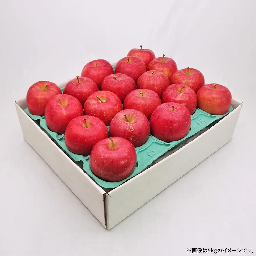 【26年10月発送】りんご 弘前ふじ【良品】約5kg キタエアップル 青森県 弘前市