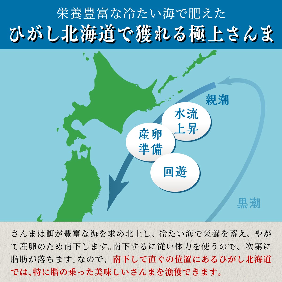 北海道産「刺身さんま」【12枚×3パック（18尾分）】